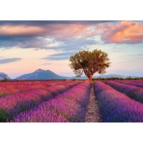 Puzzle camp de lavanda 1000 piese